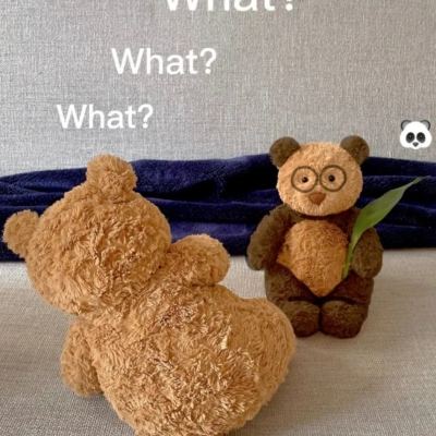 天下彩网站手机app下载