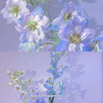 爱游戏综合APP下载