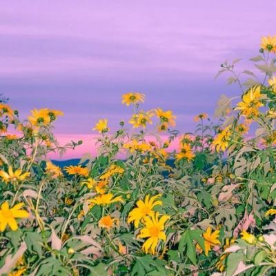 开元im电竞官网