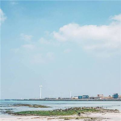 麻将胡了app下载手机版