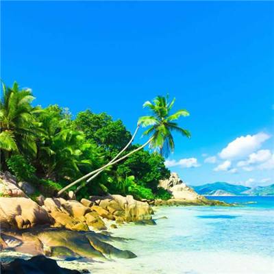 天下彩网站手机app下载