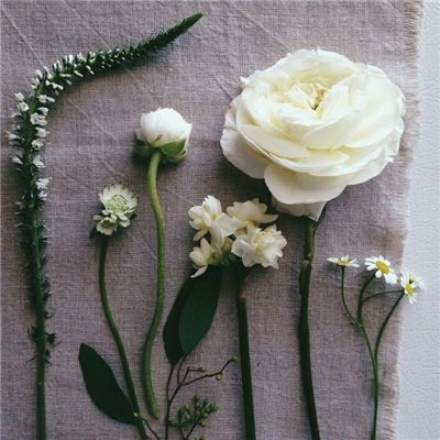 麻将胡了app下载手机版