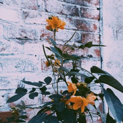 万博max官方入口