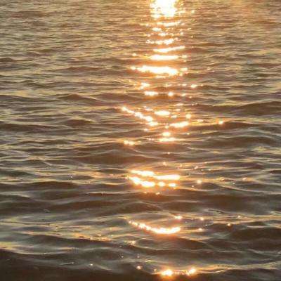 ng体育下载注册