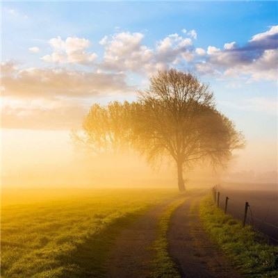 宝威体育官网手机app下载